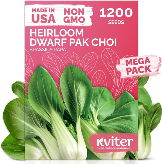 KVITER 1,200 Baby Bok Choy Seeds for Planting (Brassica rapa subsp. chinensis) – Heirloom Extra