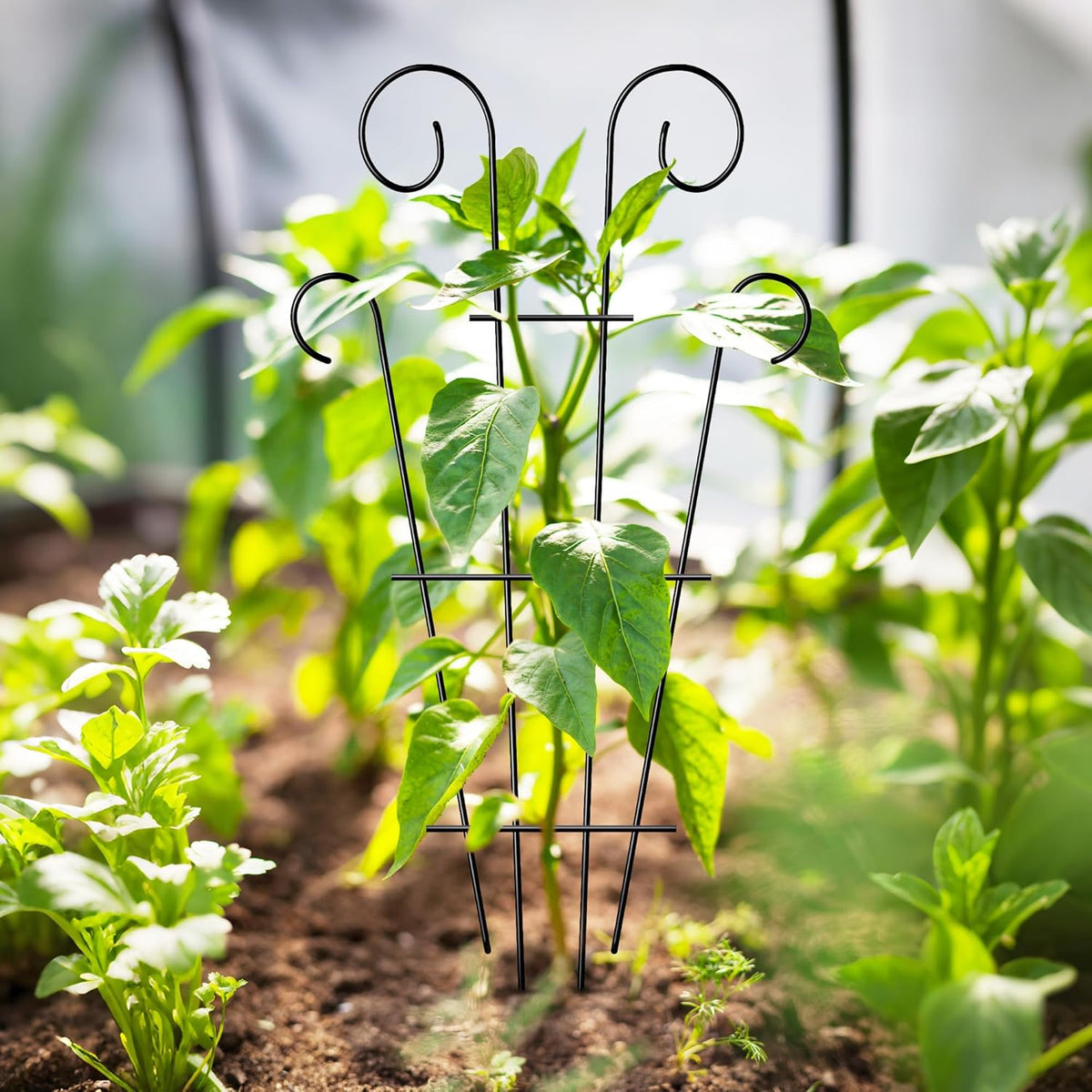 4 Pack 43'' Indoor Plant Trellis for Potted Plants Climbing, Outdoor Metal Garden Trellis