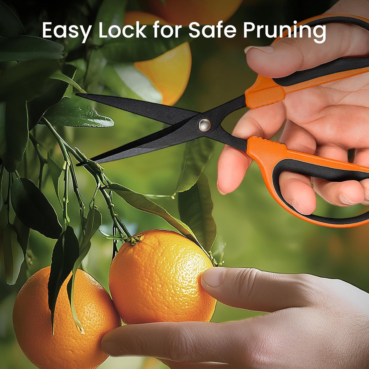 GROWNEER 6 Packs Trimming Scissors Teflon Coated Non Stick Blades Pruning Shears Gardening Hand