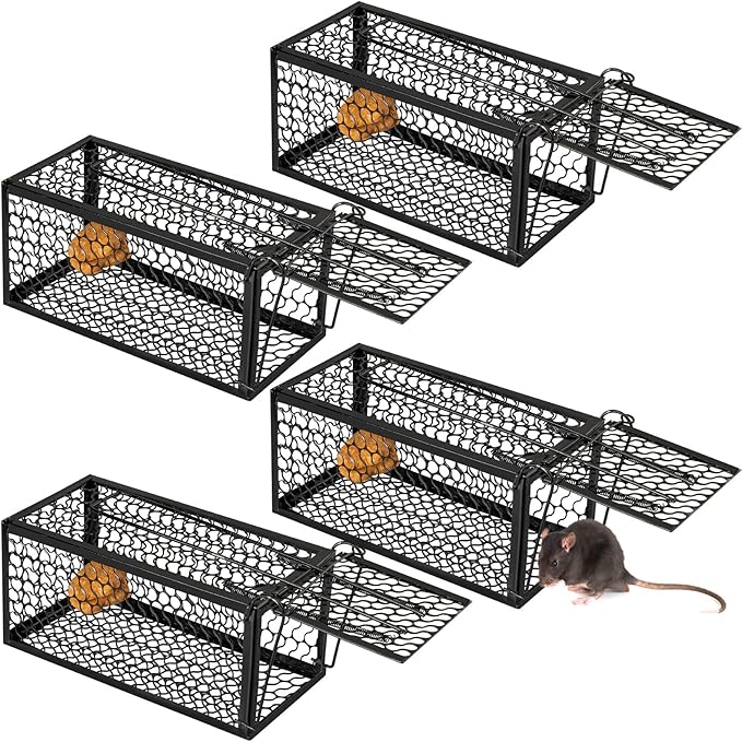 Qualirey 4 Pcs Humane Rat Trap Chipmunk Rodent Mouse Squirrel Trap Small Live Animal Mouse Voles