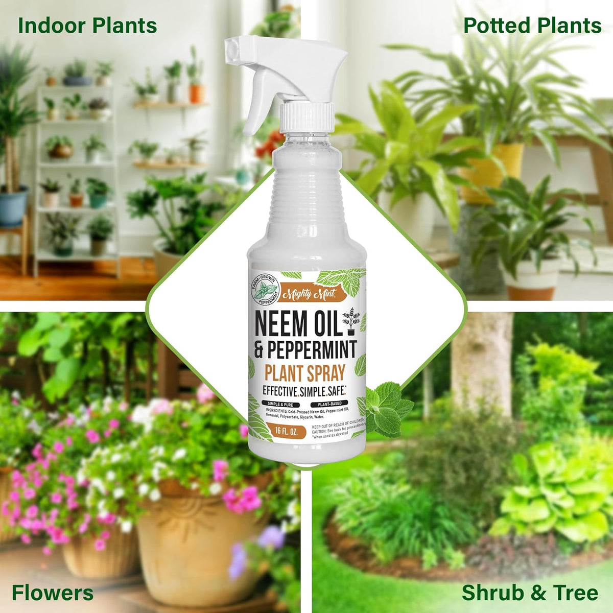 Mighty Mint Neem Oil & Peppermint Plant Nutrient Spray – Natural Leaf Shine for Indoor & Outdoor