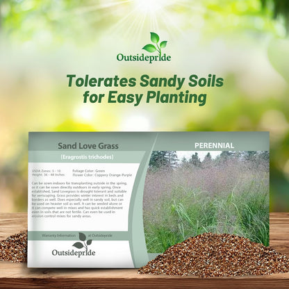 Outsidepride Sand Love Grass Seeds - 5,000 Pcs. Perennial, Easy to Grow, Drought-Tolerant, Tall