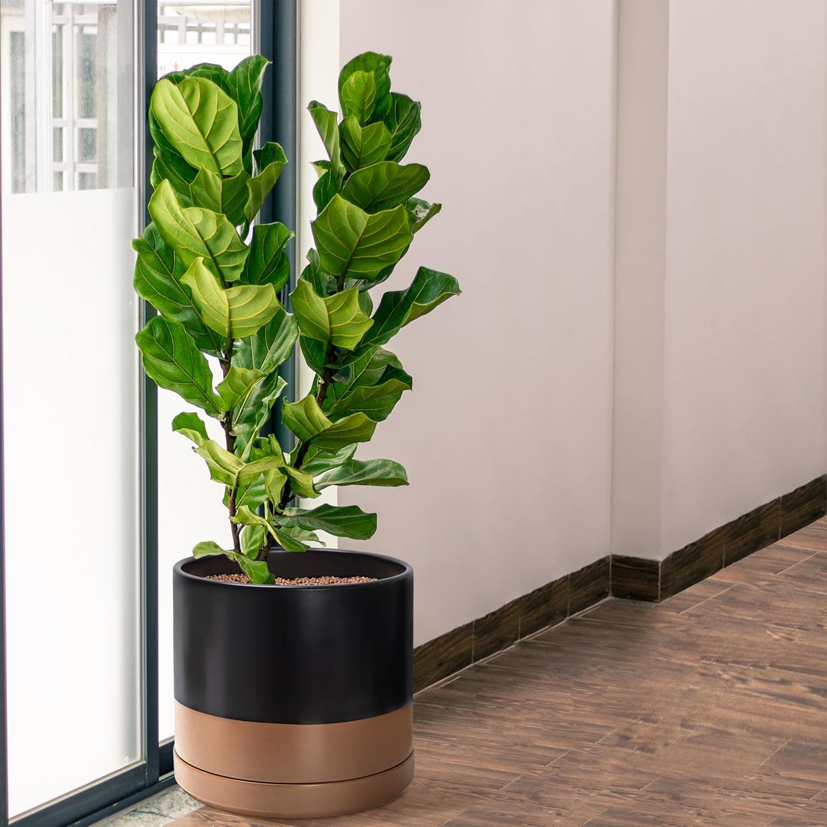 D'vine Dev 14 Inch Ceramic Planter Pot with Drainage Hole and Saucer, Indoor Cylinder Round Planter