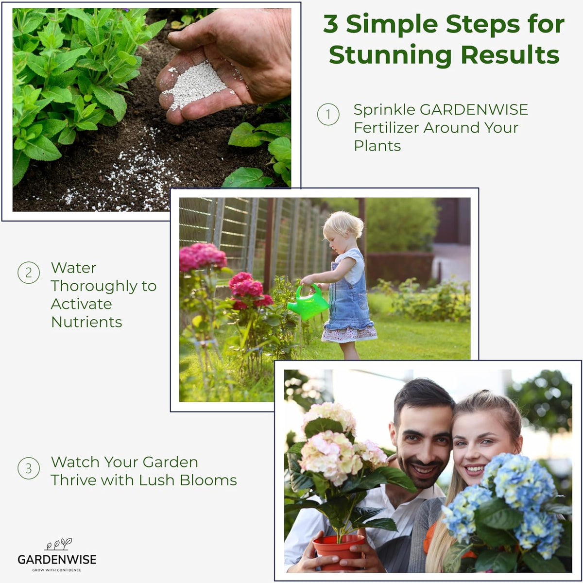 Slow Release Hydrangea Fertilizer with Iron & Sulfur – Indoor & Outdoor Soil Acidifier for Miracle