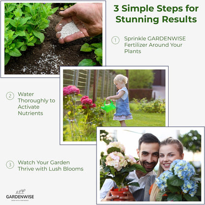 Slow Release Hydrangea Fertilizer with Iron & Sulfur – Indoor & Outdoor Soil Acidifier for Miracle
