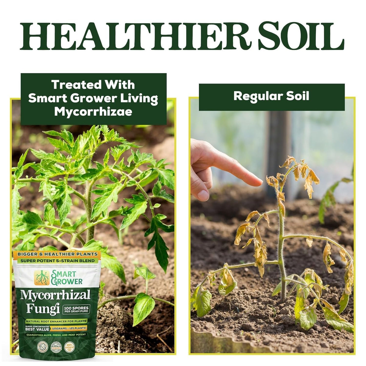 Mycorrhizal Fungi Organic Root Enhancer for Plants, Super Potent 100 Spores Per Gram, 5-Strain