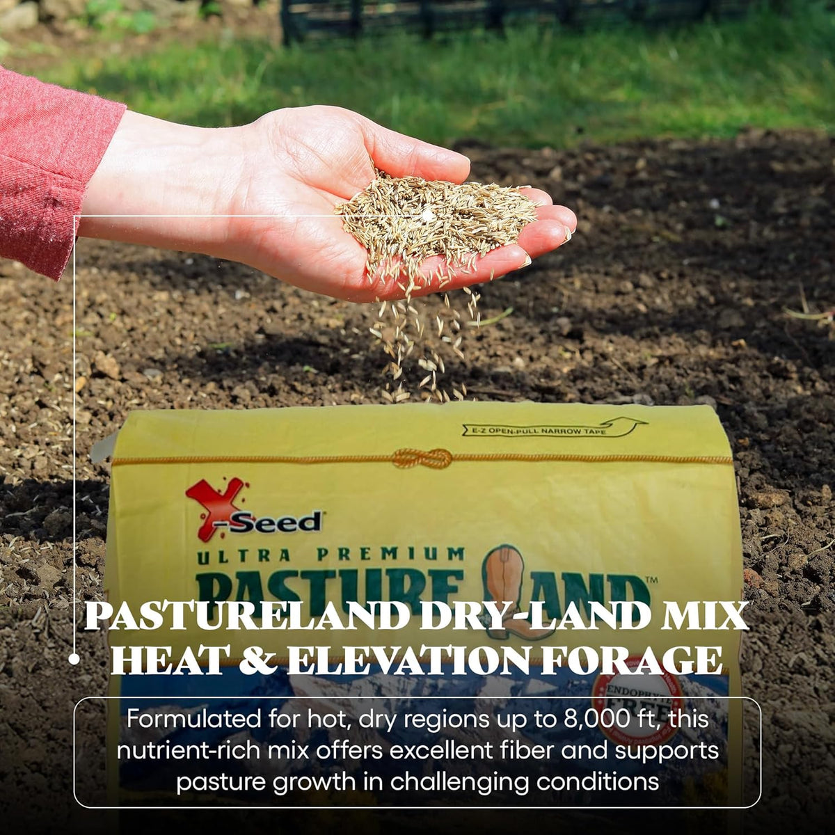 X-Seed Pasture Land Dry-Land Forage Seed Mixture with Micro-Boost – Tall Fescue Orchard Grass