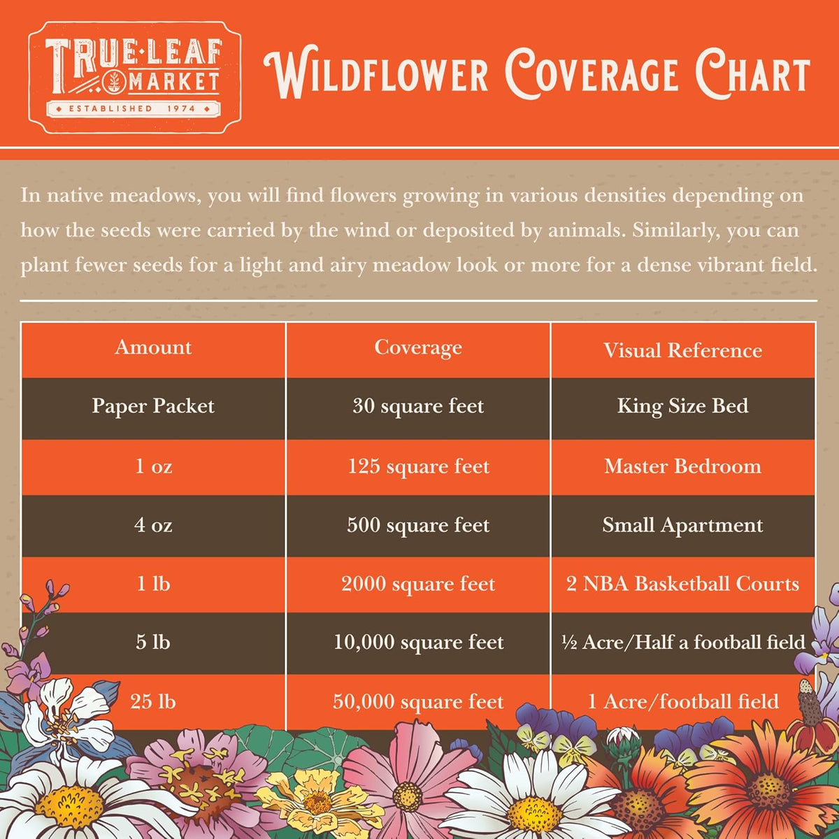 Rocky Mountain Wildflower Seeds Mix - 1 Lb Seed Pouch - 22 Wild Flower Seed Varieties - Annuals