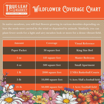 Rocky Mountain Wildflower Seeds Mix - 1 Lb Seed Pouch - 22 Wild Flower Seed Varieties - Annuals