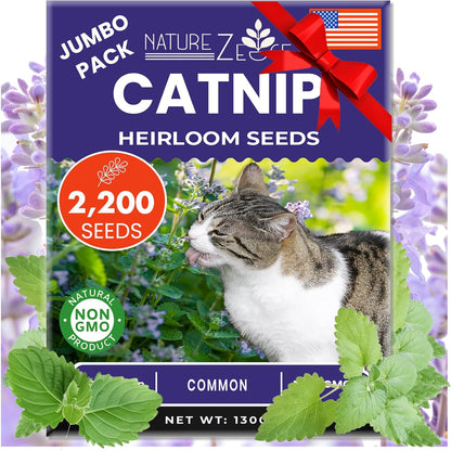 NatureZ Edge Catnip Seeds for Planting, 2200+ Herb Seeds, Indoor or Outdoor Growing, Cat Nip Seeds