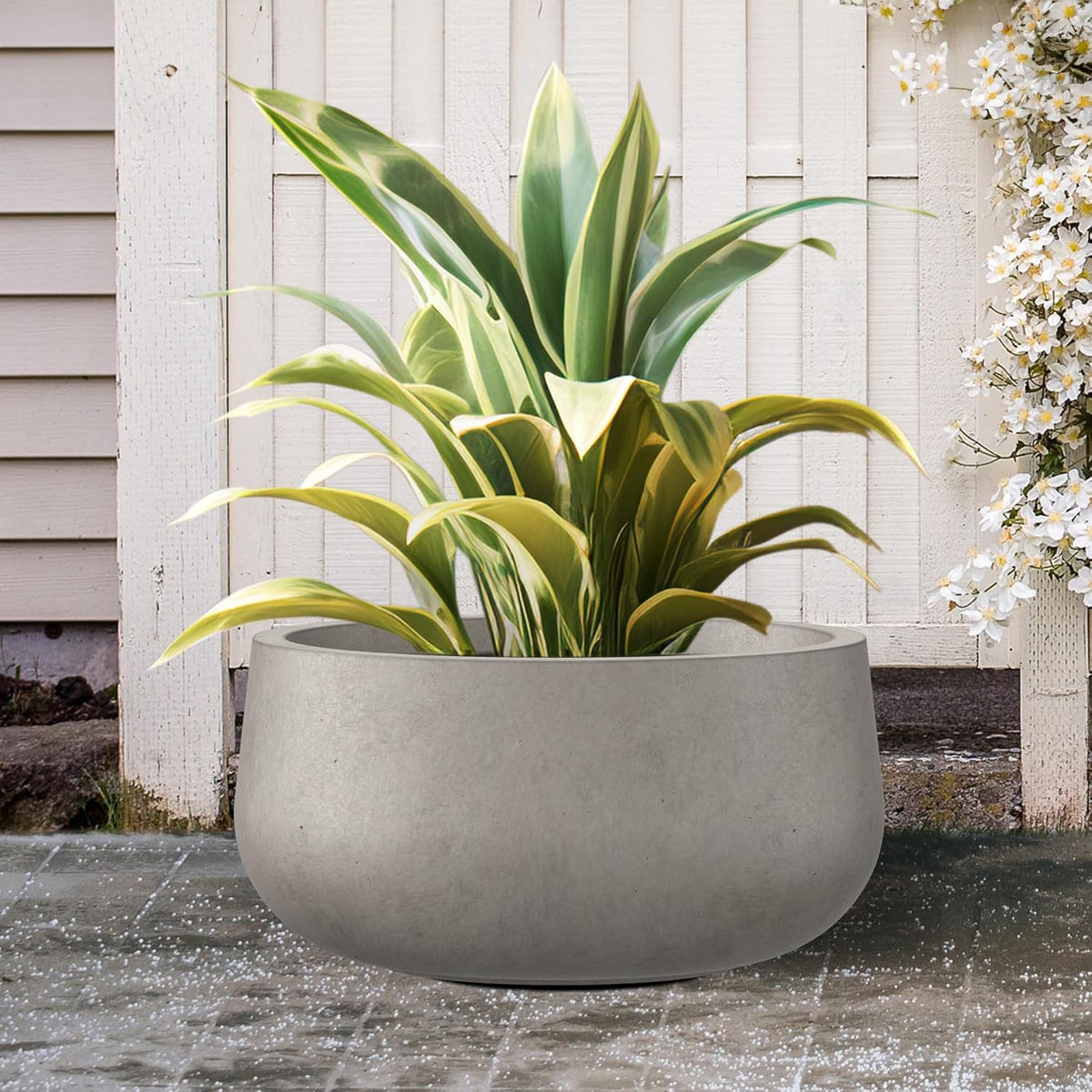 Kante 19.6" Dia Round Concrete Planter, Cement Plant Pots with Drainage Hole and Rubber Plug for
