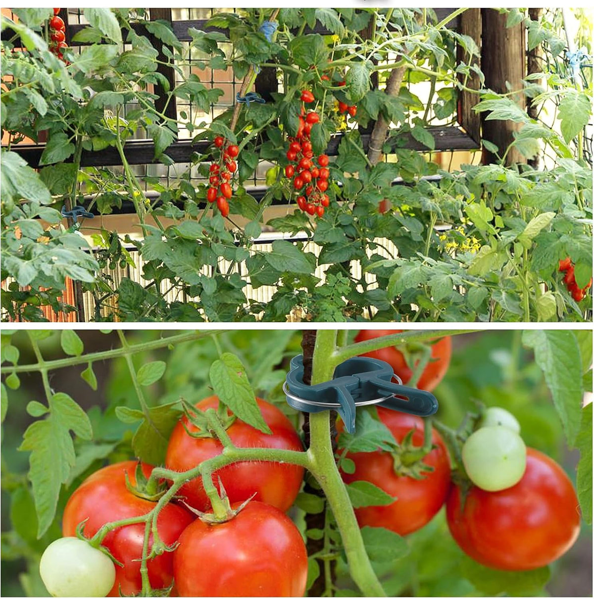 Plant Support Clips, 80 PCS Gentle Flower Plant Clamps for Supporting Vine Climbing Plants