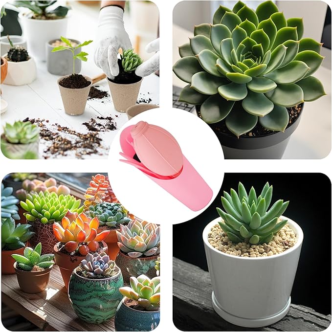 6Pcs Mini Succulent Tools Set, Garden Hand Tools Kit for Indoor Plant Care, Succulent Bonsai