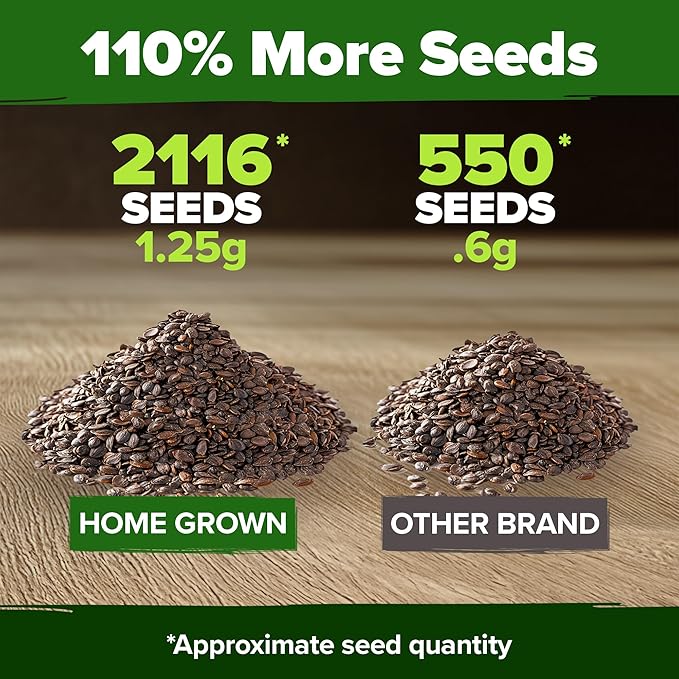 HOME GROWN 𝗨𝗦𝗔 𝗣𝗥𝗘𝗠𝗜𝗨𝗠 Catnip Seeds (Bulk Pack) 𝗡𝗢𝗡-𝗚𝗠𝗢 Heirloom Herb 2,116 Seeds