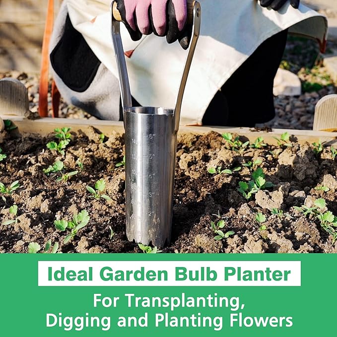 Berry&Bird Garden Bulb Planter with 6 inches Depth Mark, Garden Bulb Transplanter Tool with Wooden