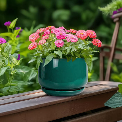 G EPGardening 6 Inch Plant Pot - Ceramic Planter for Indoor Plants, Round Planter with Drainage and