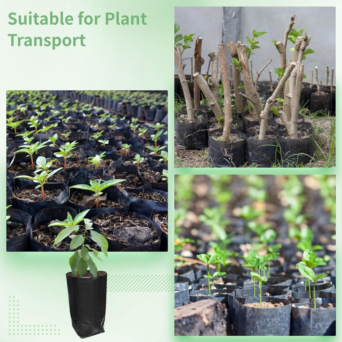 OMISTAR 100 PCS Plant Nursery Bags, Plastic Seedling Pots Container for Fruit Tree Flower Plant