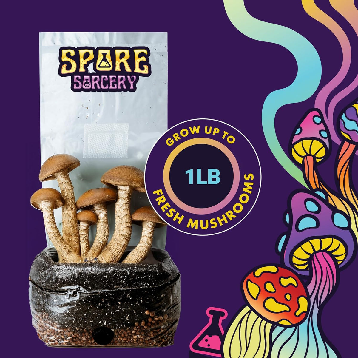2 LB All-in-One Grow Bag: Up to 16oz of Mushrooms! Nutrient-Enhanced, Injection Port, Just Add Your