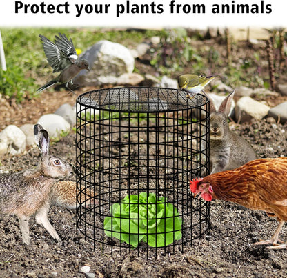 Hi Sasara 5 Sets Wire Plant Protectors Cage with Staples,11.8" Dia x 11.8" H,Plant Protector with