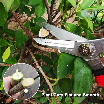 TONMA Pruning Scissors [Made in Korea] 7.5" Rugged yet Lightweight Pruning Shears for Gardening