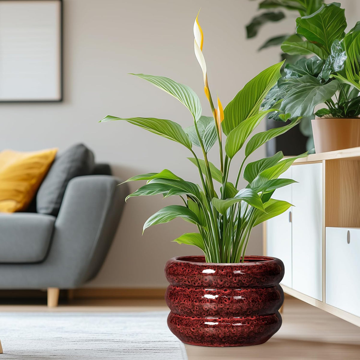 SQOWL Ceramic Planters for Indoor Plants - 13.5 Inch Plant Pot with Drainage Hole, Large Ceramic