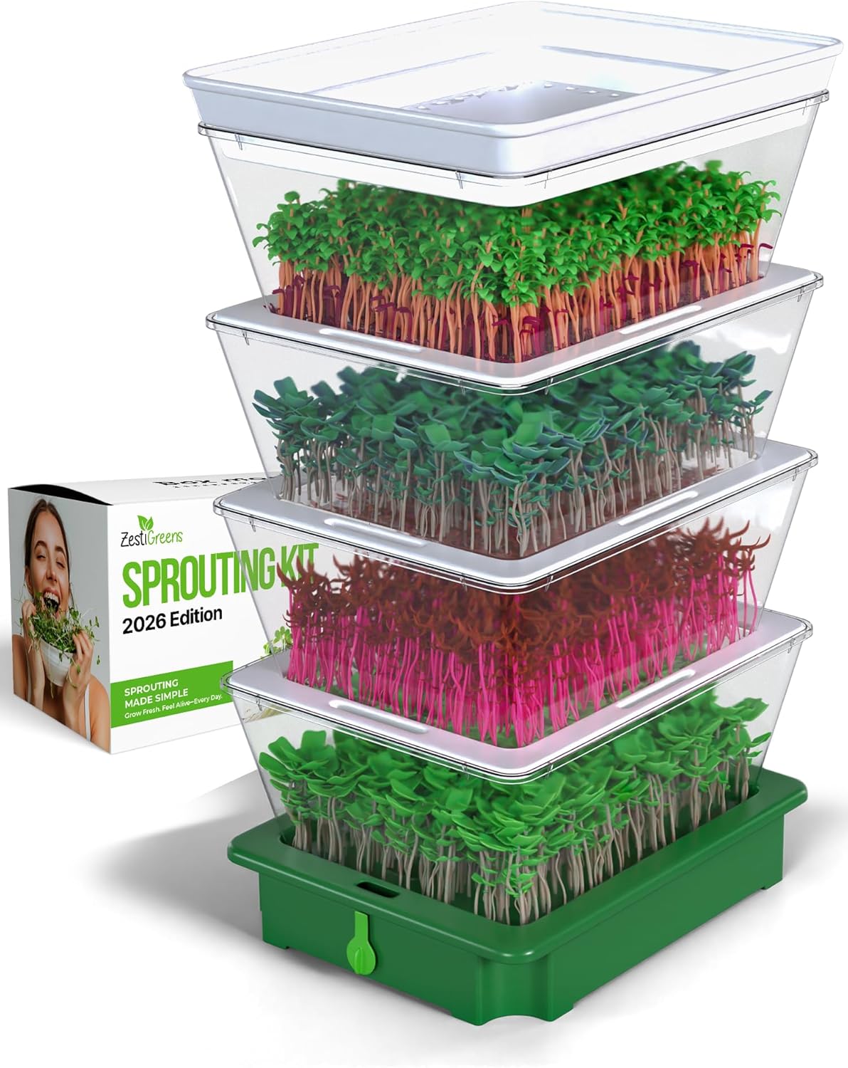 ZESTIGREENS 4-Tier Sprouting Kit with Drain Spout – Stackable Seed Sprouter Trays for Growing Fresh