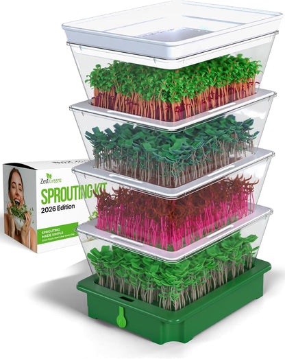 ZESTIGREENS 4-Tier Sprouting Kit with Drain Spout – Stackable Seed Sprouter Trays for Growing Fresh