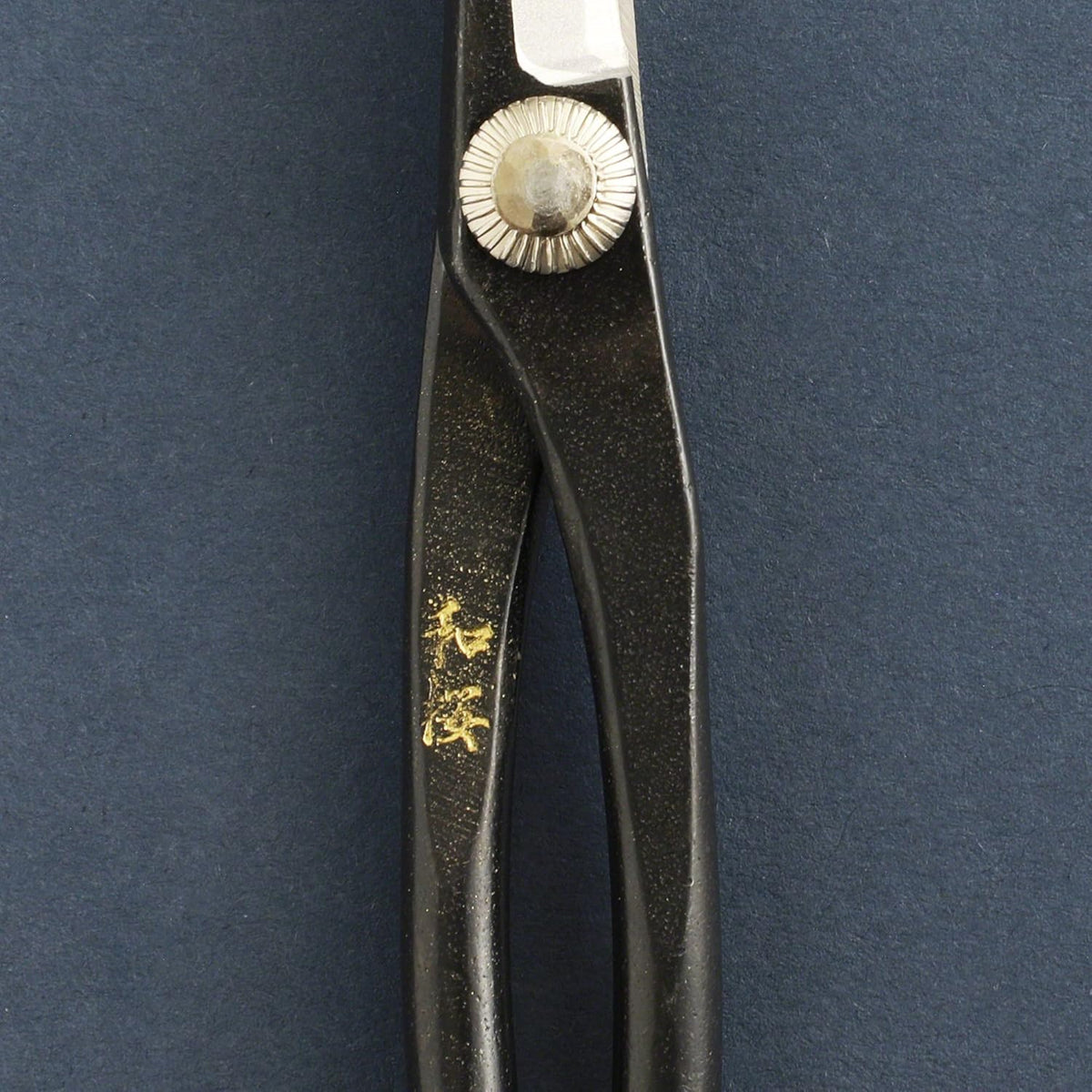 Wazakura 4PCS Bonsai Essential Tool Kit Made in Japan, Yasugi Steel Satsuki Bonsai Scissors +