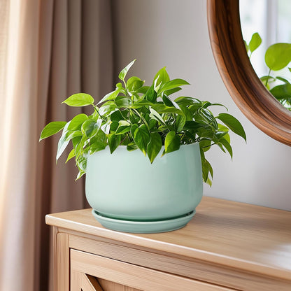 G EPGardening Ceramic Plant Pots - 6 Inch Pot for Plants, Ceramic Planter with Drainage and Saucer