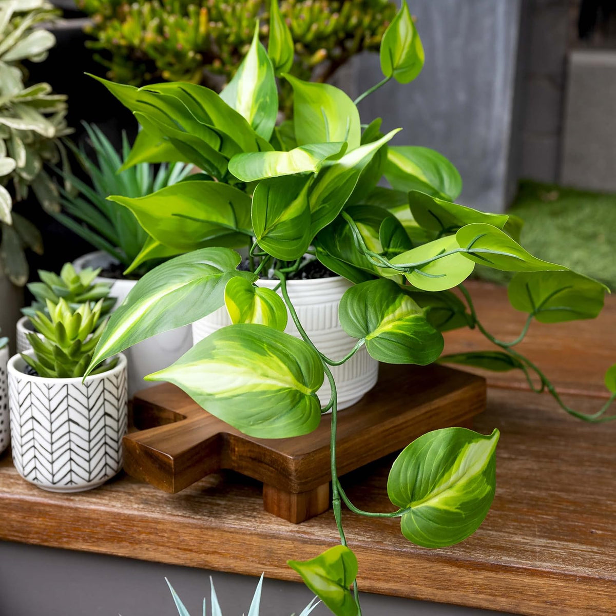 Kurrajong Farmhouse Dark Green Fake pothos | Fake Plant for Shelf Decor | Artificial Trailing Ivy