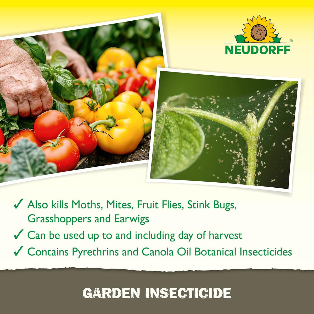 Neudorff Garden Insecticide Spray for Roses and Flowers, Kills Fruit Flies, Fungus Gnats, and 100+
