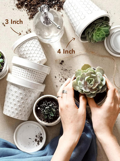 LE TAUCI Ceramic Succulent Pots, 4 Inch Small Plant Pot for Indoor Plant Cactus, Embossed Flower