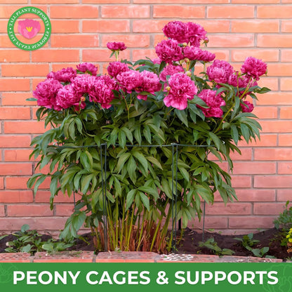 LEOBRO 24 Inch Plant Support Stakes, 6PCS Plant Stakes, Peony Cages and Supports, Garden Stakes