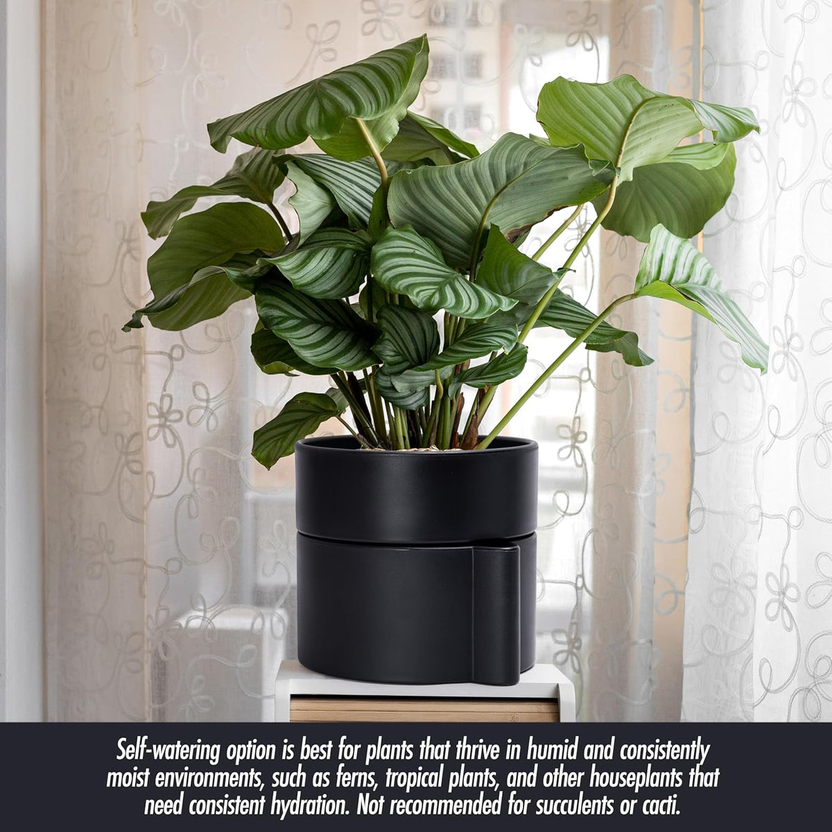Phoenix Vine 8 Inch Self-Watering Planter Pot with Terracotta Insert, Deep Water Reservoir, and