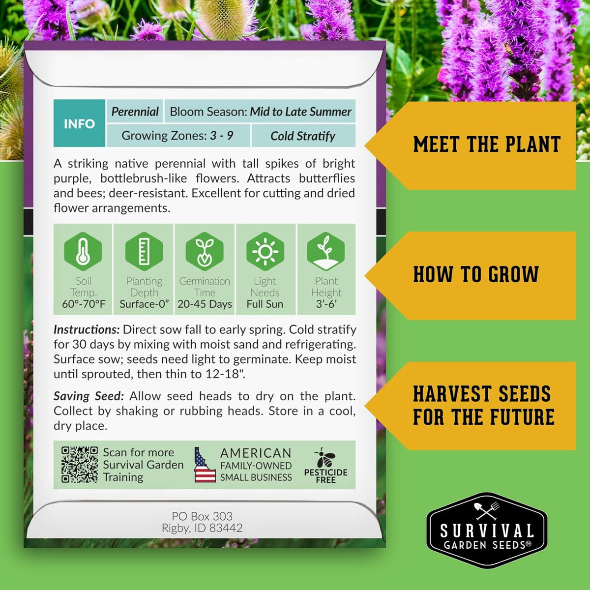 Survival Garden Seeds - Dense Blazing Star (Liatris spicata) | Gayfeather | Prairie Feather | North