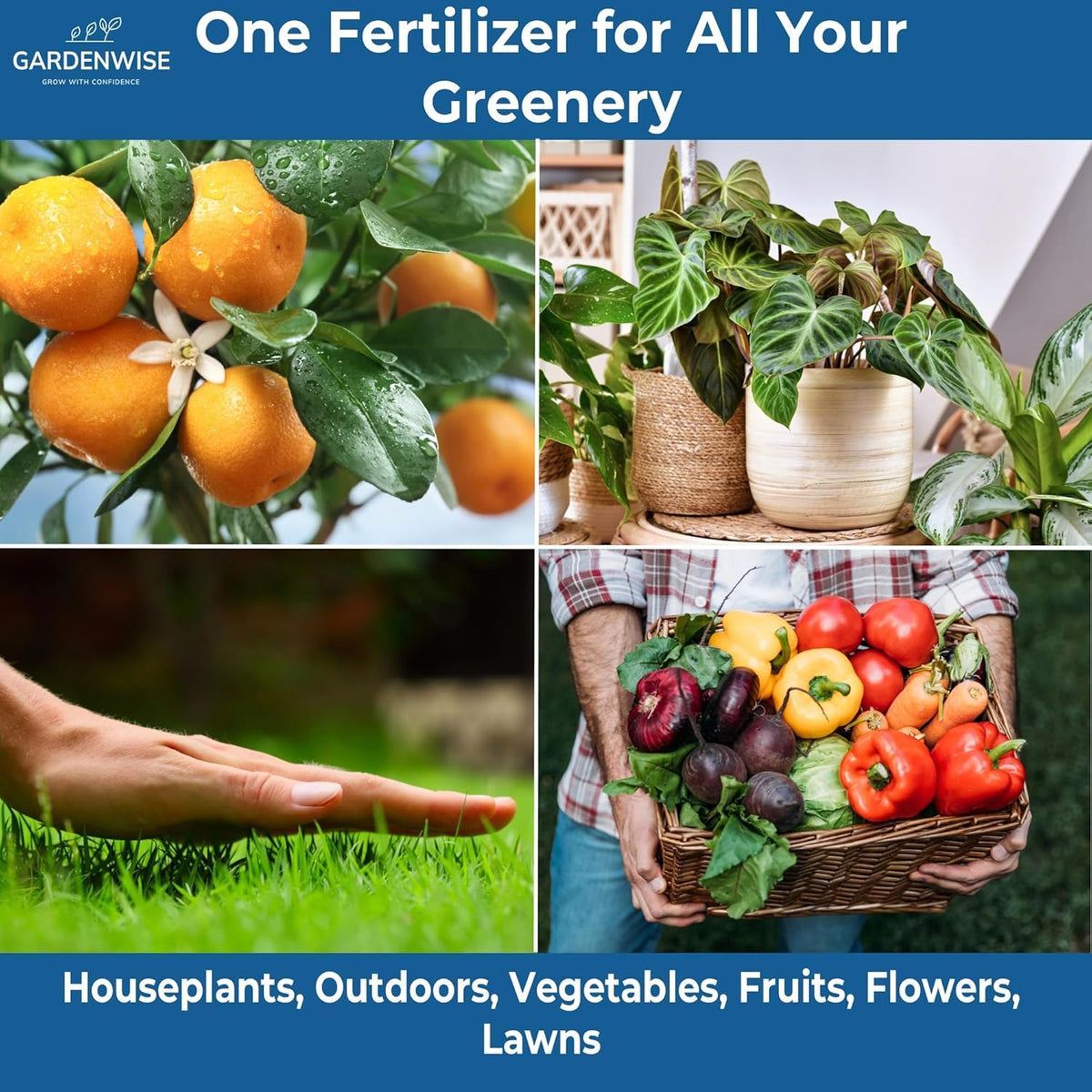 20-20-20 Water-Soluble Fertilizer – Powder for Liquid Plant Food for Indoor & Outdoor Plants
