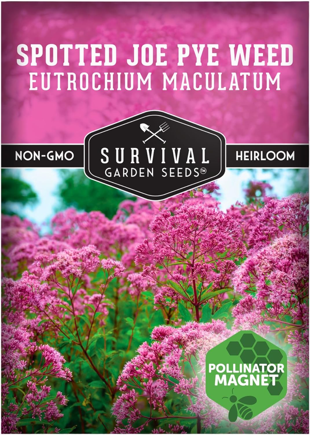 Survival Garden Seeds - Spotted Joe Pye Weed Seeds for Planting | Eutrochium maculatum | Butterfly