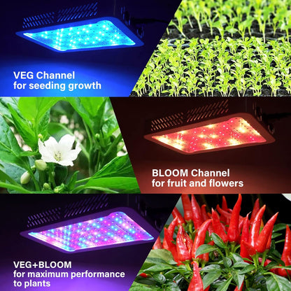 1000w LED Grow Light for Indoor Plants, Full Spectrum Plant Light Growing Lamp for Hydroponic
