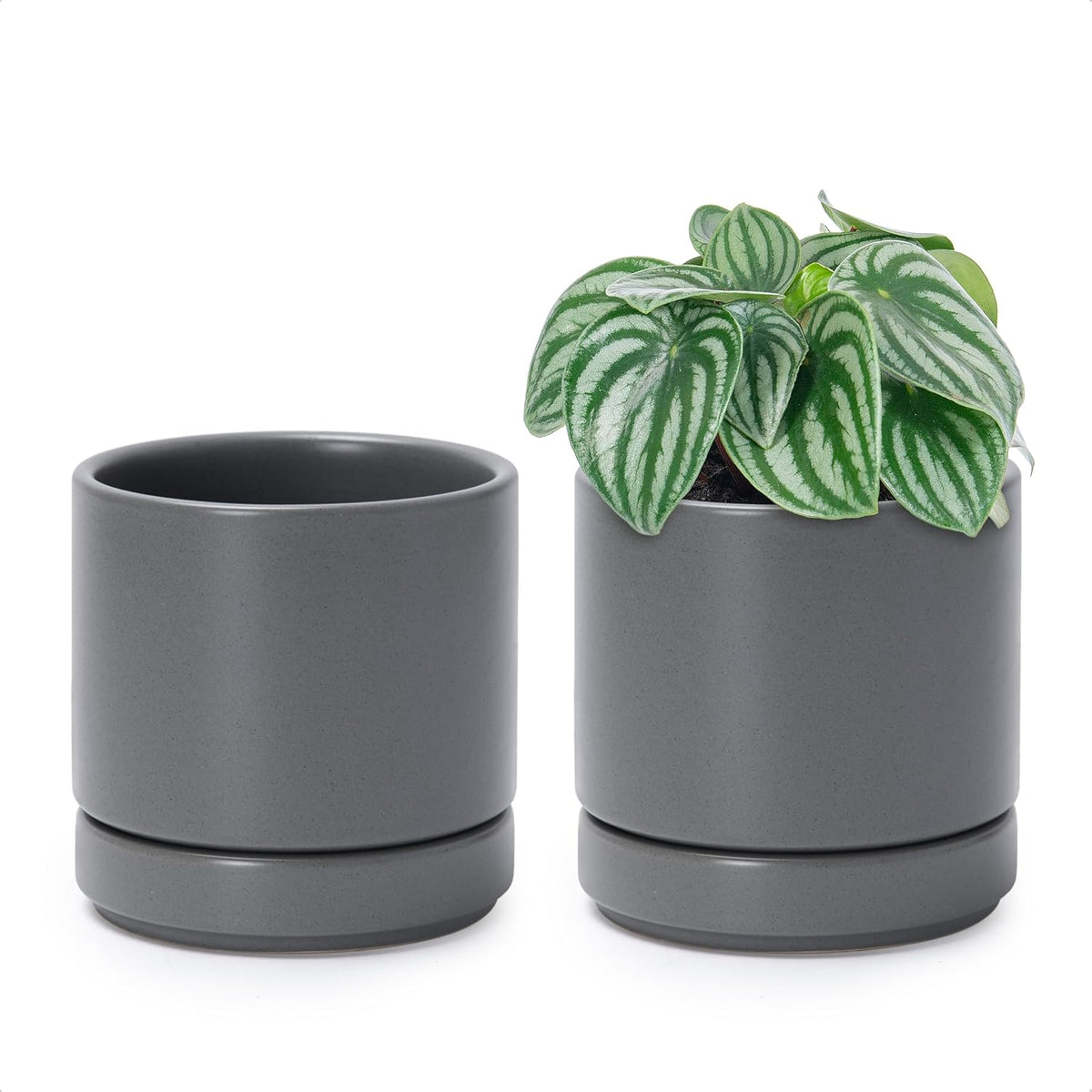 D'vine Dev Set of 2 Plants Pots, 4.7 Inch Ceramic Planter Pot for Plants with Drainage Hole and