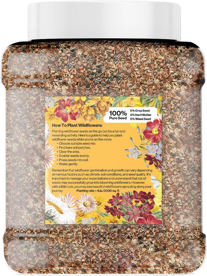 Wildflower Seed Mix 1LB Tub - Save The Bees Seed Mix, by GevaGrow | Bulk 300,000+ Seeds |