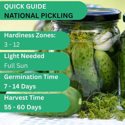 Woods Creek Seeds: National Pickling Cucumber Seeds for Planting - Over 90 Heirloom Cucumber Seed