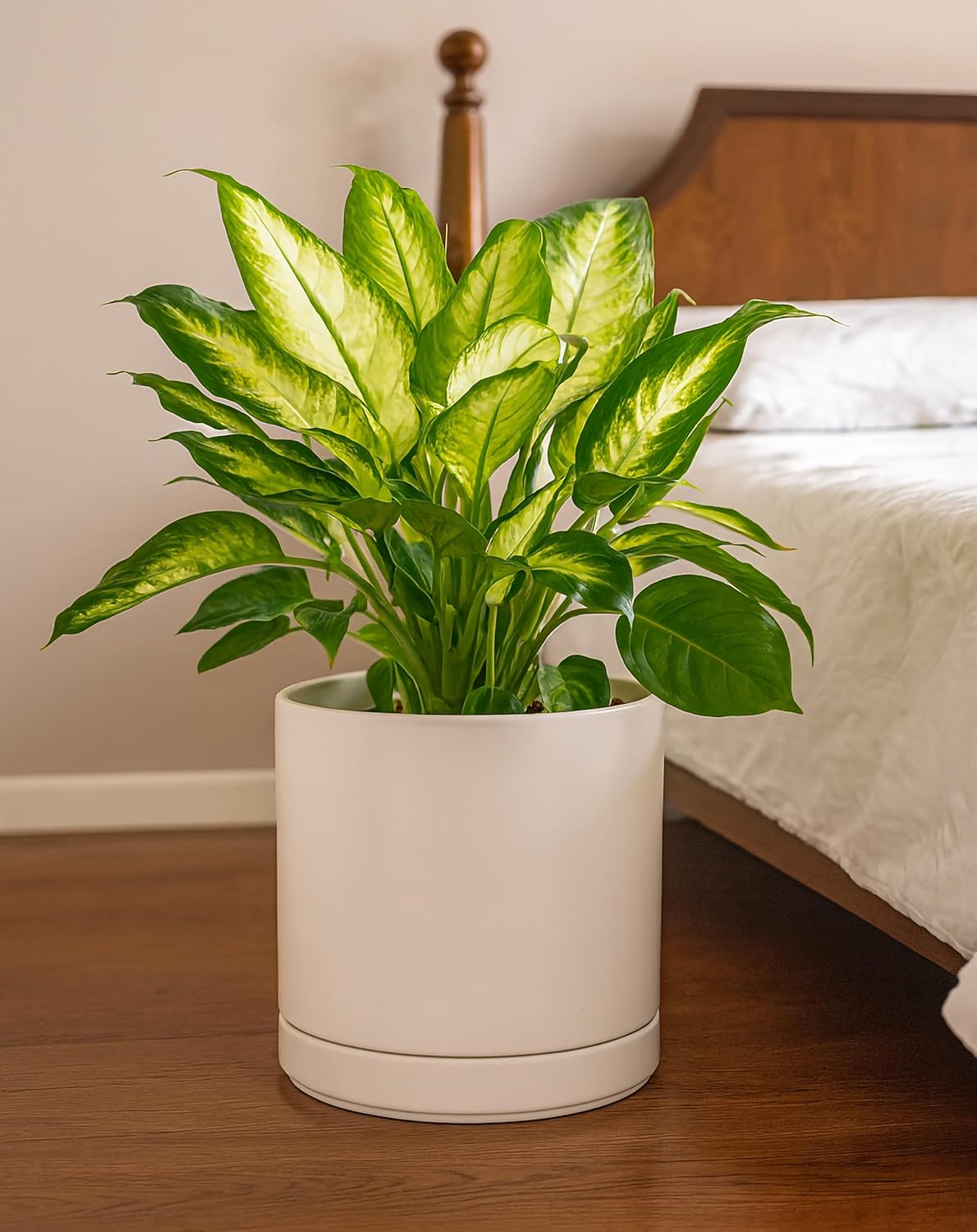 D'vine Dev Set of 2 Plants Pots, 10 Inch Ceramic Planter Pot for Plants with Drainage Hole and