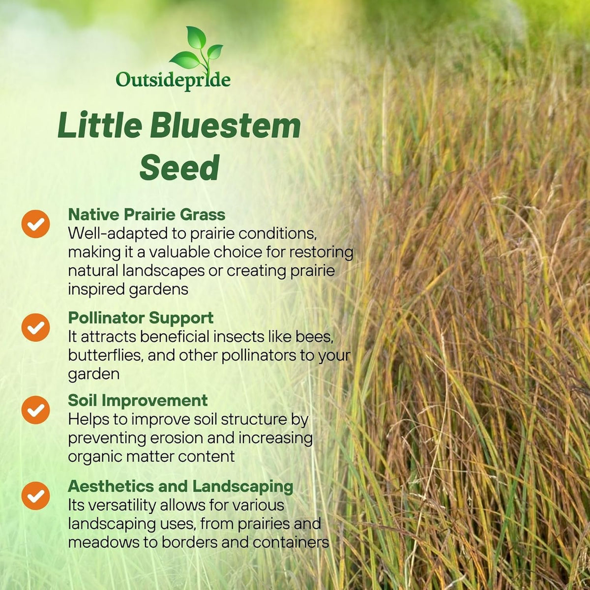 Outsidepride Perennial Little Bluestem Grass Seed - 25 lbs. Warm Season, Drought Resistant