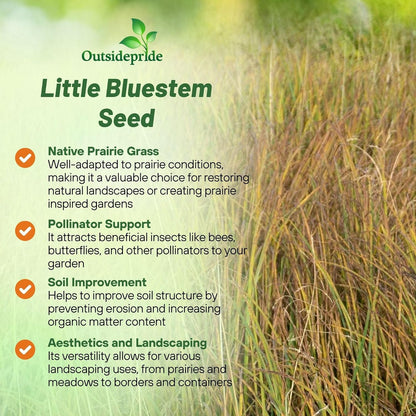 Outsidepride Perennial Little Bluestem Grass Seed - 25 lbs. Warm Season, Drought Resistant