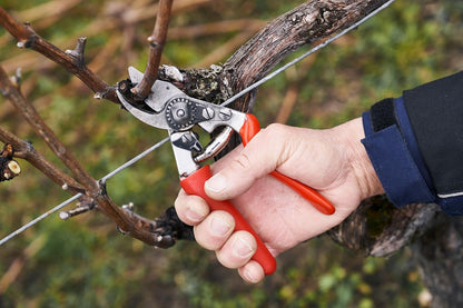 Felco F 15 Pruning Shears – 4.7" Garden Clippers with Rubber Grip & Anvil Blade | Hand Pruners for
