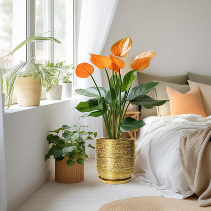 Ceramic Flower Pot for Indoor Plants - 10 Inch Plant Pot with Drainage Hole and Saucer, Decorative