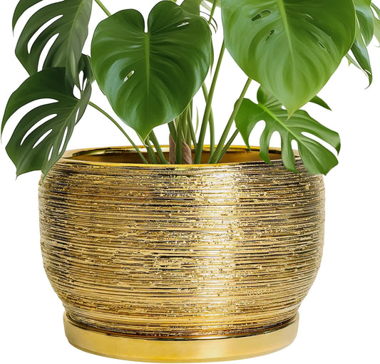 SQOWL Ceramic Planter for Indoor Plants - 10 Inch Plant Pot with Drainage Hole and Saucer, Modern
