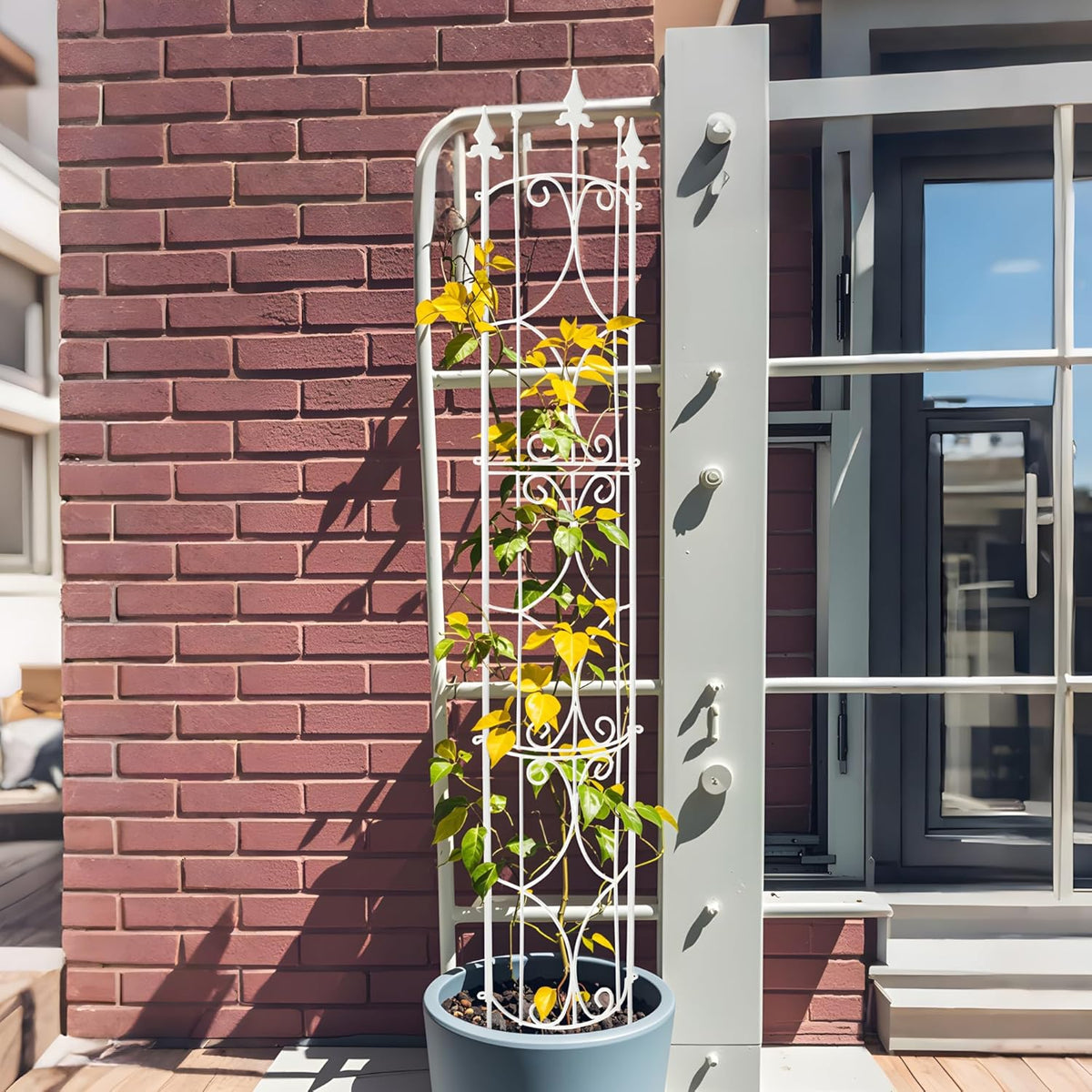 Garden Trellis 2 Pack 72'' H x 12'' W Metal Plant Trellis Indoor/Outdoor Metal Garden Trellis Plant