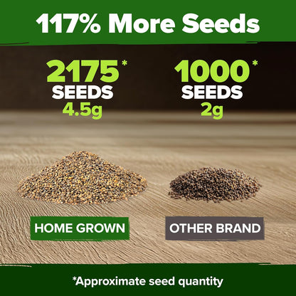 HOME GROWN 𝗨𝗦𝗔 𝗣𝗥𝗘𝗠𝗜𝗨𝗠 Arugula Roquette Seeds Pack 2,175 𝗡𝗢𝗡-𝗚𝗠𝗢 Heirloom Arugula