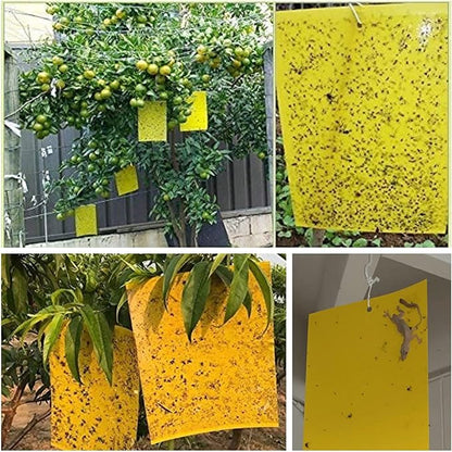 30 Pack Yellow Sticky Traps Fruit Fly Trap, Double-Sided Fungus Gnat Trap Insects Pest Killer for